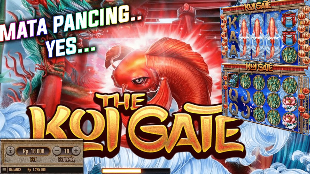 KOI GATE! SLOT ONLINE GACOR!!! - HABANERO - YouTube